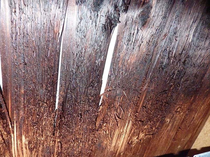 Gutachten für Schaden in Sauna-Wellnessanlage